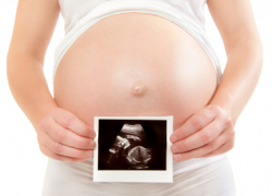 Scan Fetal