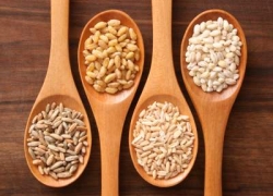 Los cereales: una de las mejores fuentes de energía